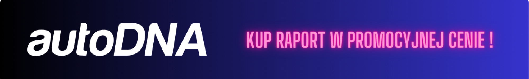 kup raport w promocyjnej cenie !